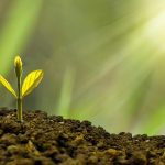 Ilustrasi pixabay.com