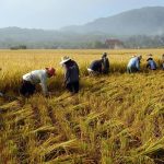 Ilustrasi pixabay.com