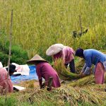 Ilustrasi pixabay.com