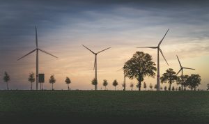 Ilustrasi foto pixabay.com