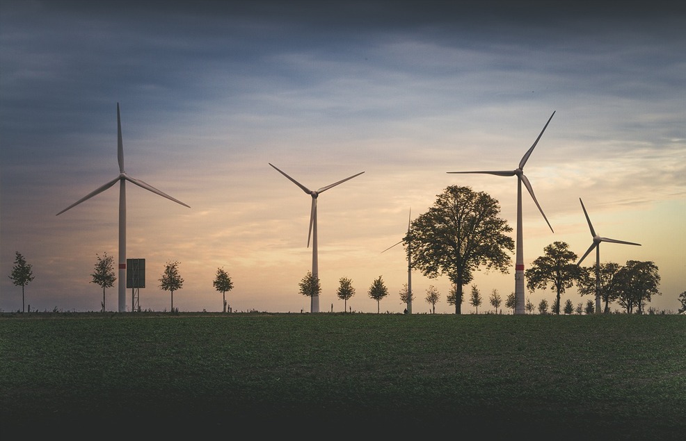 Ilustrasi foto pixabay.com