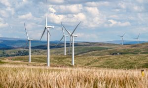 Ilustrasi pixabay.com