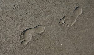 Ilustrasi pixabay.com