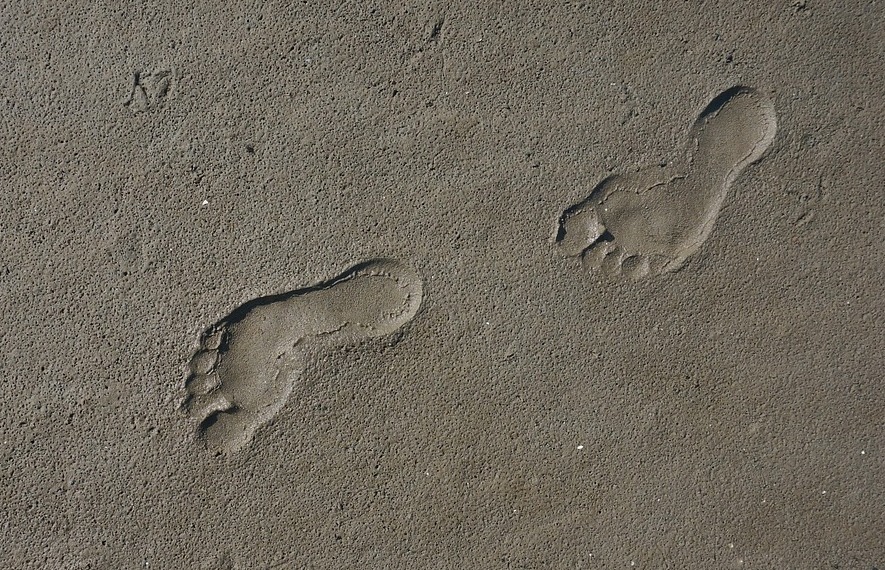 Ilustrasi pixabay.com