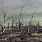 Ilustrasi pixabay.com