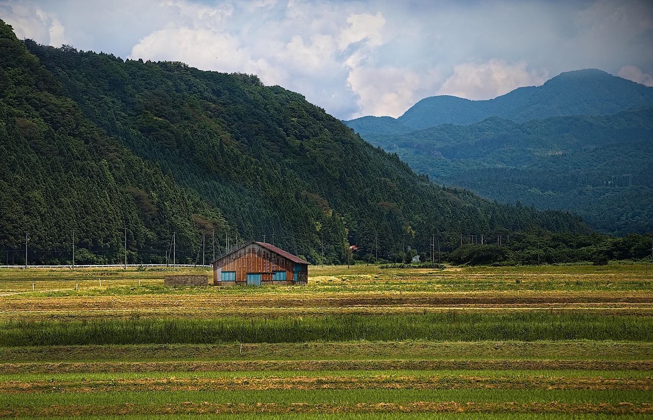 Ilustrasi pixabay.com