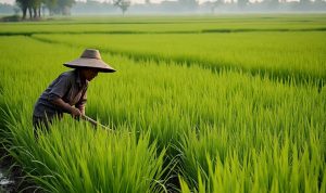 Ilustrasi gambar digital