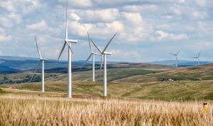 Ilustrasi pixabay.com