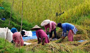 Foto ilustrasi pixabay.com