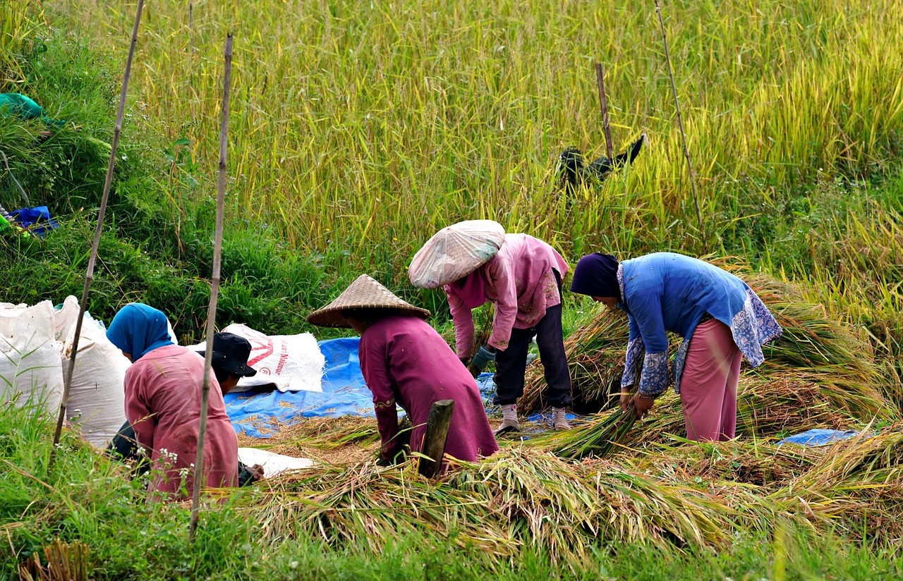 Foto ilustrasi pixabay.com