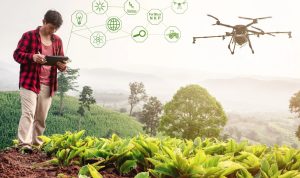 Foto ilustrasi istimewa