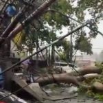 Banyak pohon tumbang yang akibat hujan deras yang disertai angin di Tangerang Selatan.*//Foto istimewa