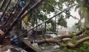 Banyak pohon tumbang yang akibat hujan deras yang disertai angin di Tangerang Selatan.*//Foto istimewa