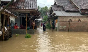 Screenshot_20251105-082441_WhatsApp