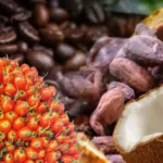 Foto ilustrasi istimewa