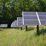 Foto ilustrasi pixabay.com