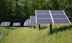 Foto ilustrasi pixabay.com