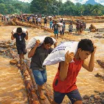 Ilustrasi gambar digital