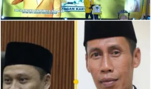 Screenshot_20260213-155645_Gallery