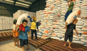 Ilustrasi gambar digital