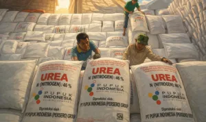 Ilustrasi gambar digital