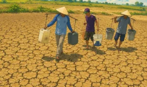 ancaman el nino Ilustrasi gambar digital